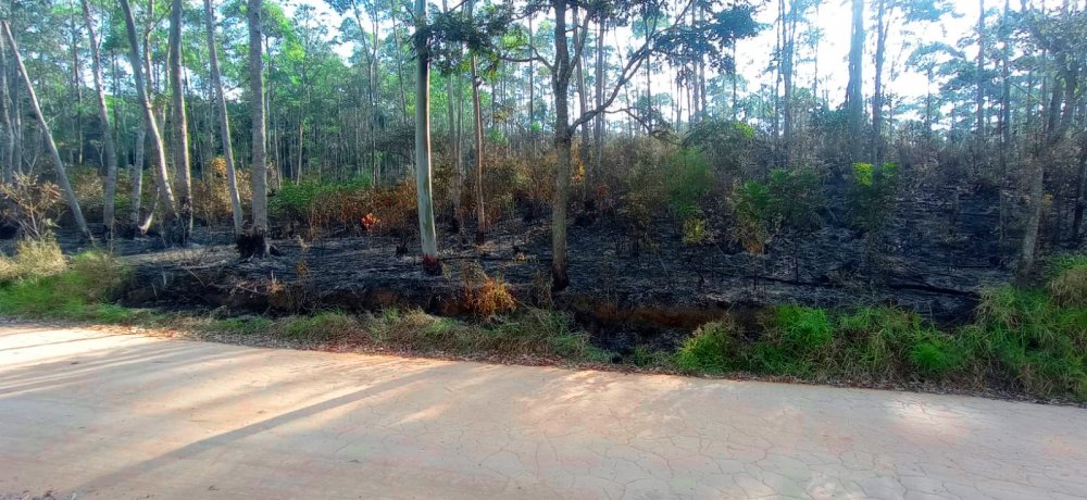 Fazenda à venda, 266200m² - Foto 16