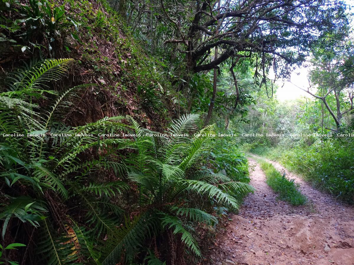 Fazenda à venda, 250000m² - Foto 37