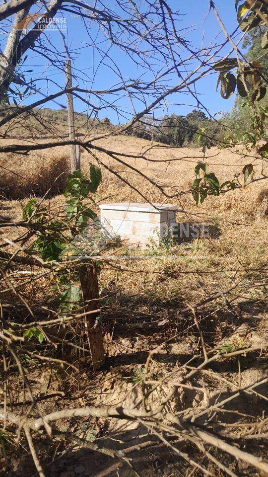 Chácara, 3 quartos, 1 hectares - Foto 2