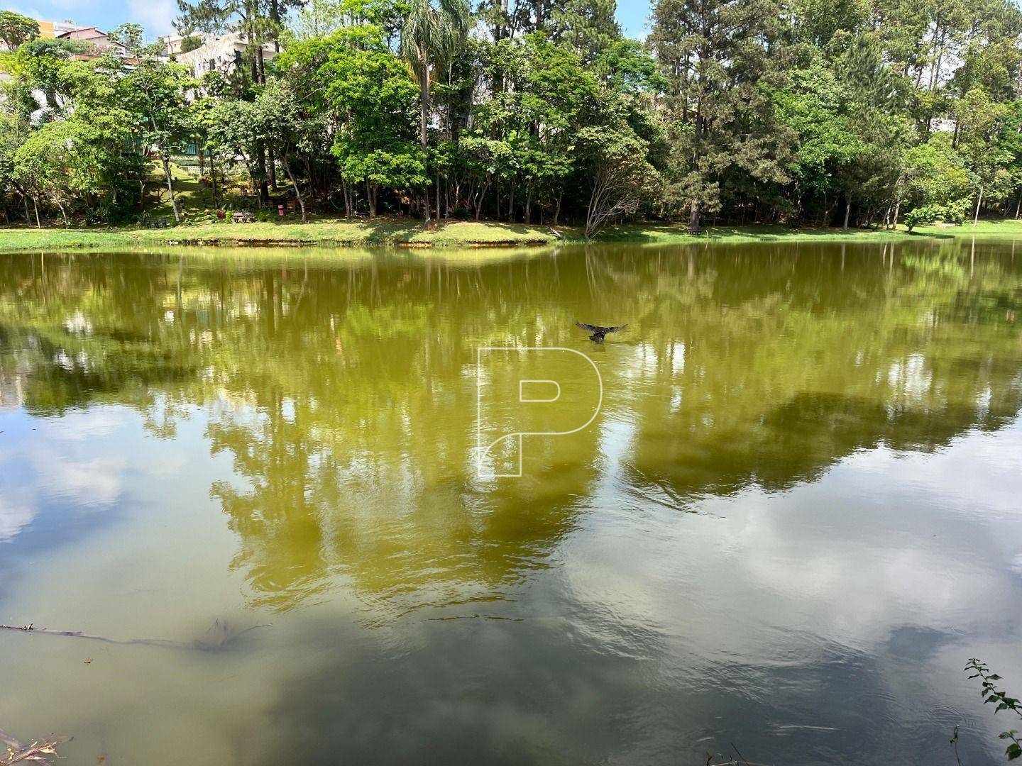 Casa de Condomínio à venda com 3 quartos, 230m² - Foto 38