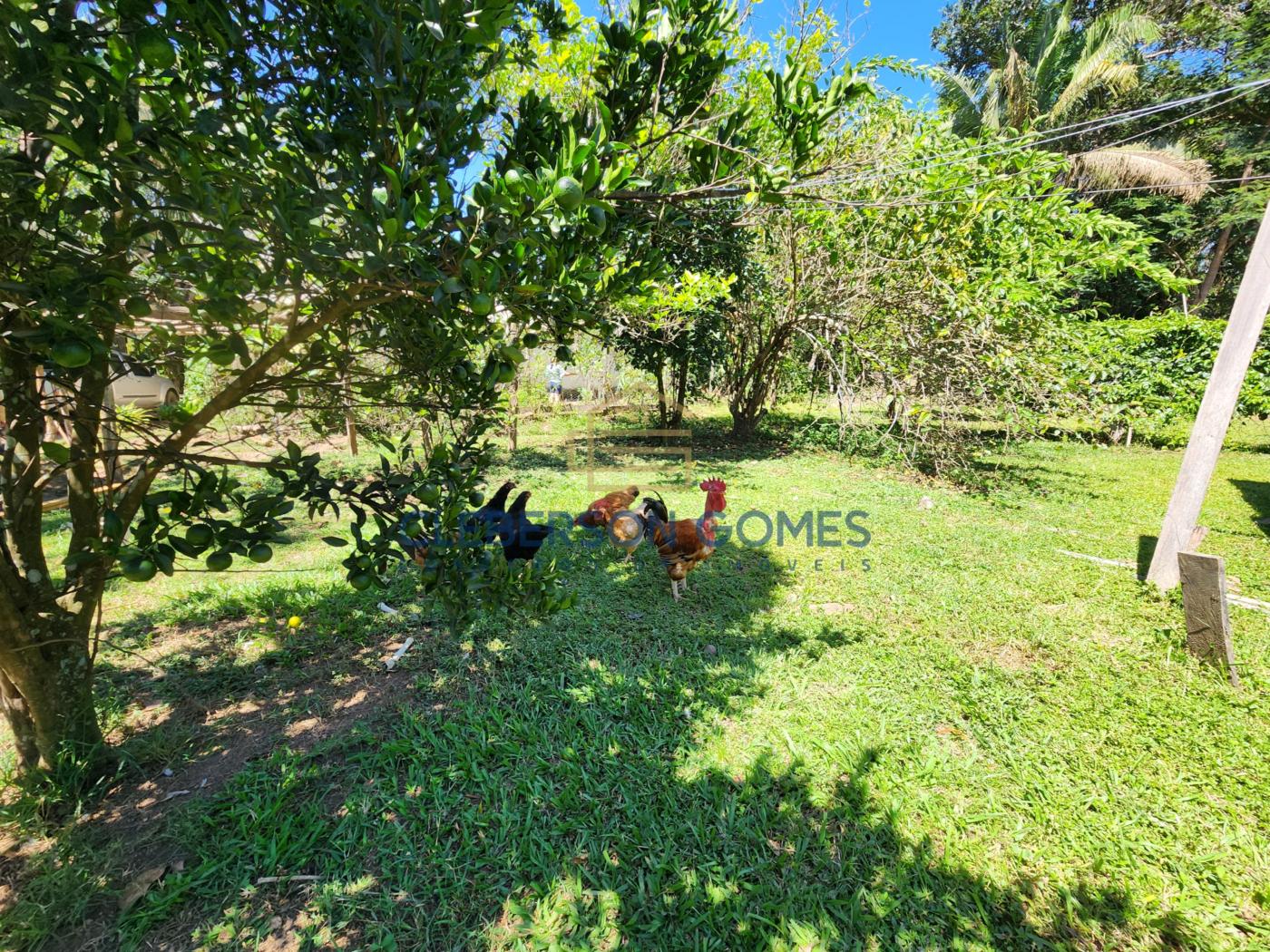 Chácara à venda com 4 quartos, 3m² - Foto 21