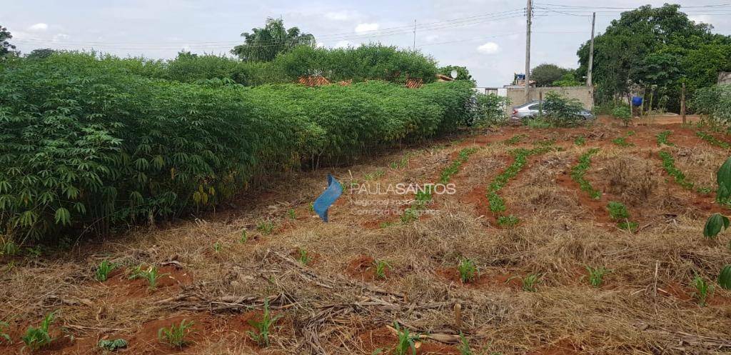 Terreno à venda, 1000M2 - Foto 10