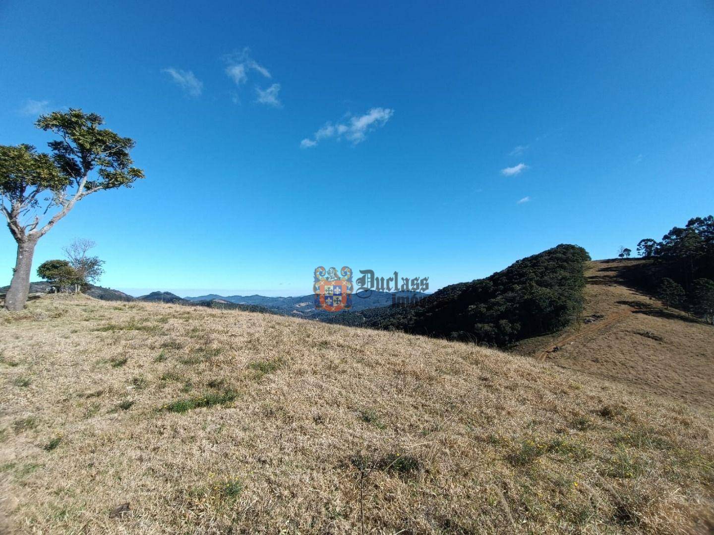 Terreno, 15 hectares - Foto 1