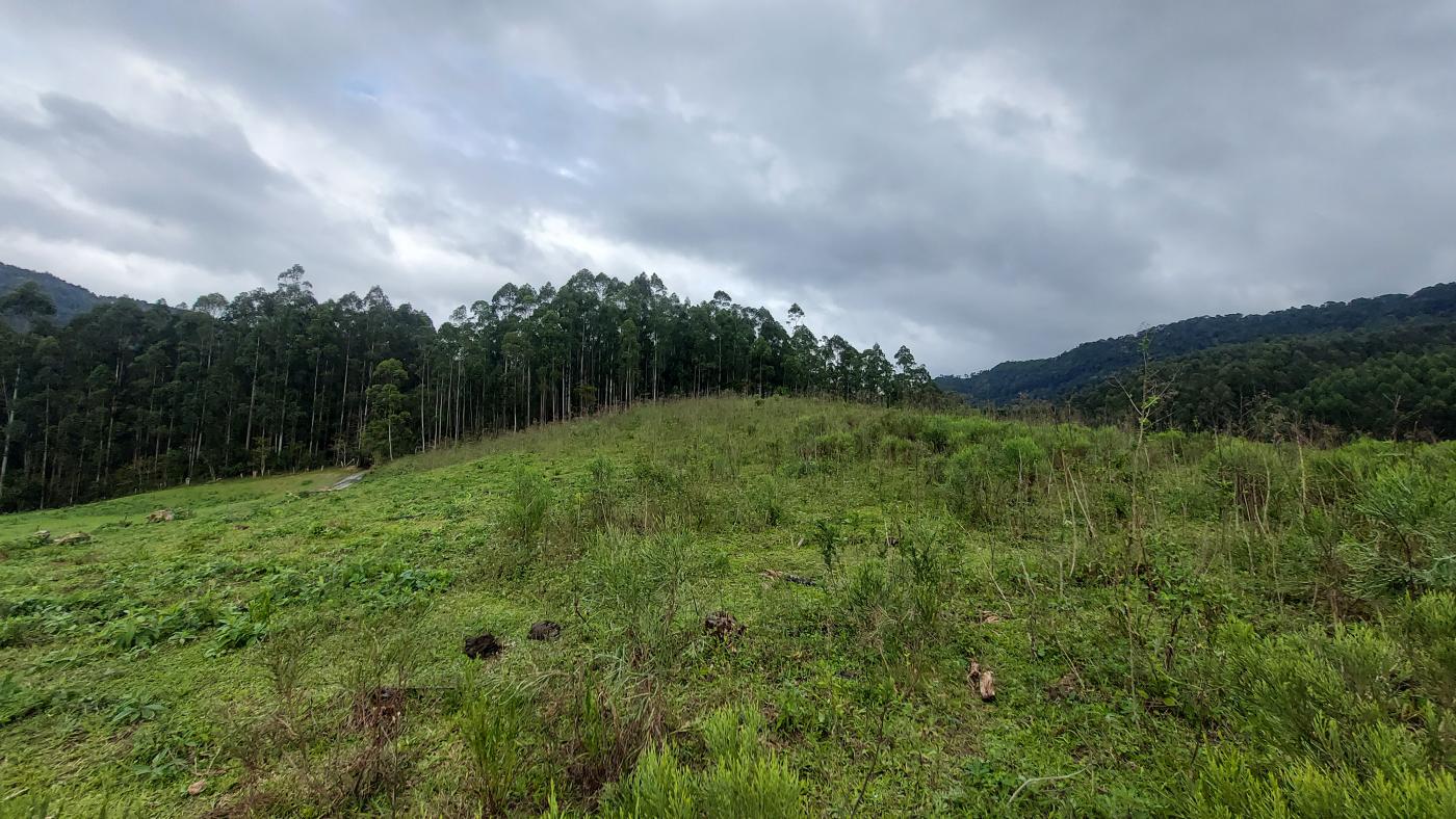 Fazenda à venda, 100000m² - Foto 14