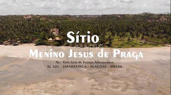 Terreno, 11 hectares - Foto 2