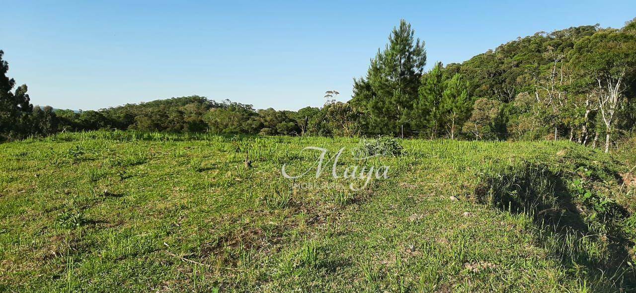 Terreno à venda, 140000M2 - Foto 4