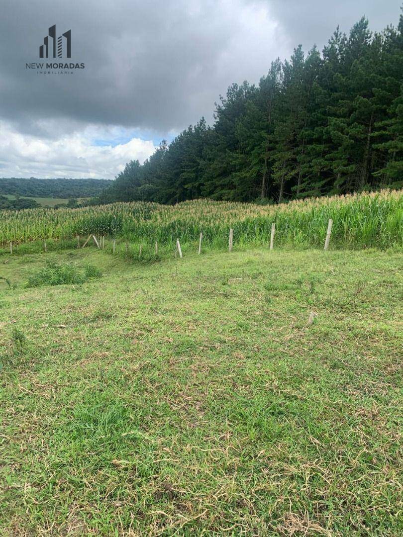 Chácara à venda com 2 quartos, 90m² - Foto 13
