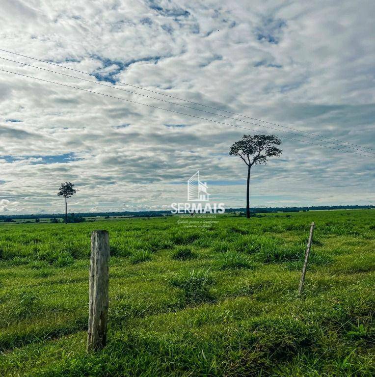 Fazenda à venda com 5 quartos, 23000000M2 - Foto 5