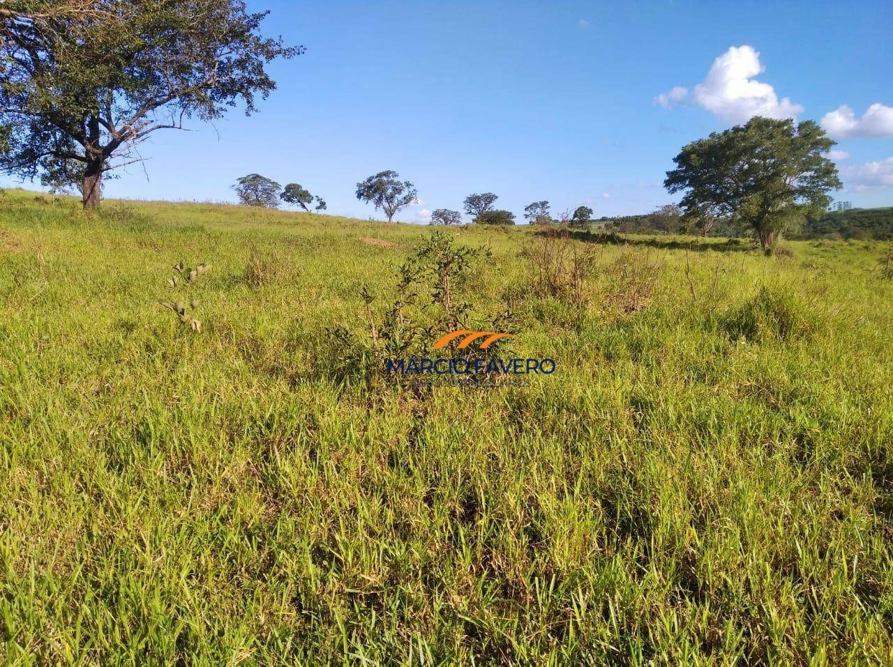 Fazenda, 121 hectares - Foto 17