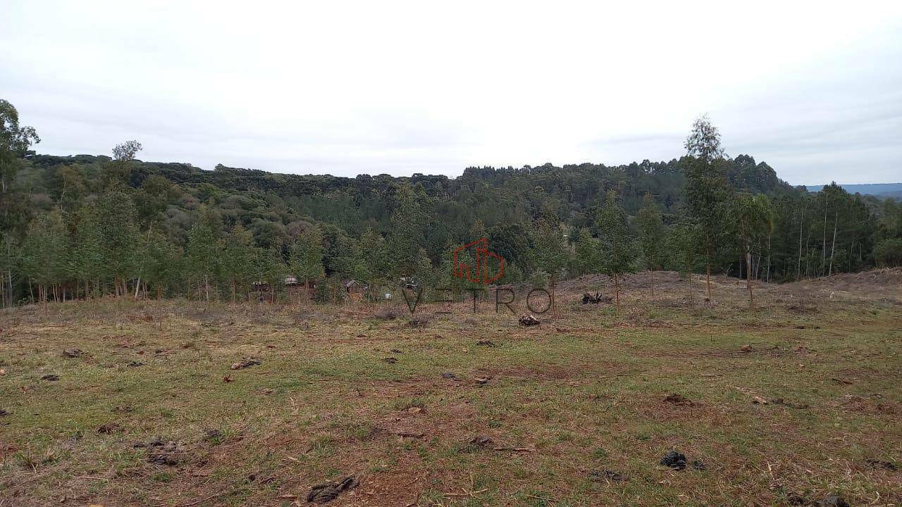 Terreno à venda, 6470M2 - Foto 1