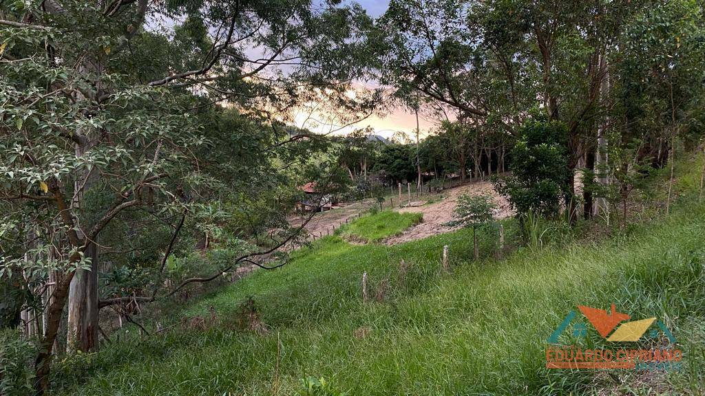 Chácara, 3 quartos, 2 hectares - Foto 5