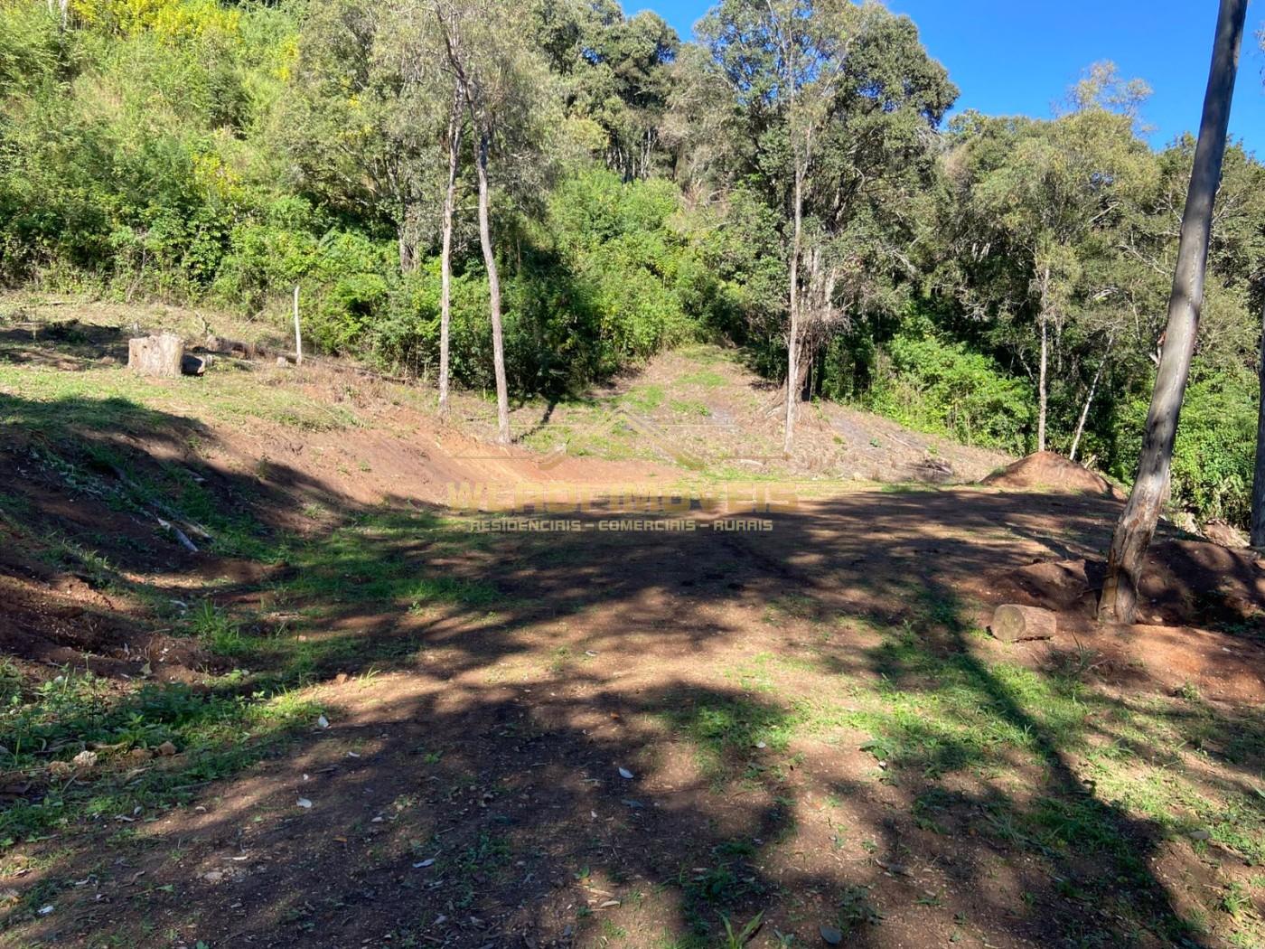 Terreno à venda, 40000m² - Foto 4