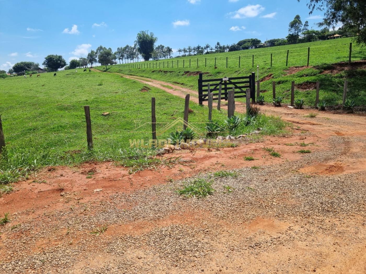 Fazenda à venda, 150m² - Foto 5