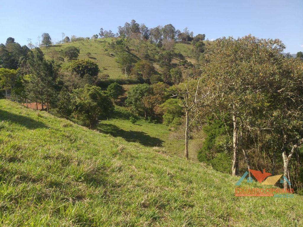 Terreno à venda, 9106M2 - Foto 19