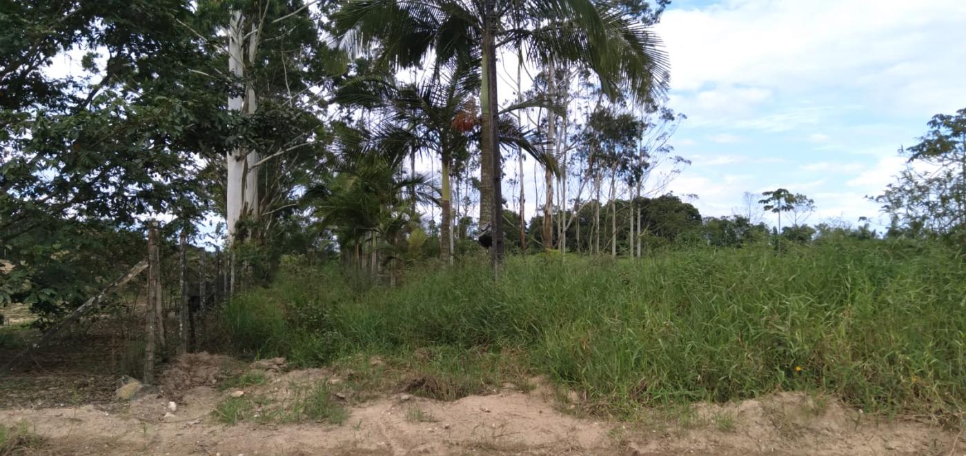 Fazenda à venda, 25000m² - Foto 7