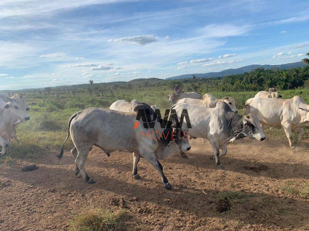 Fazenda à venda, 121000000M2 - Foto 12