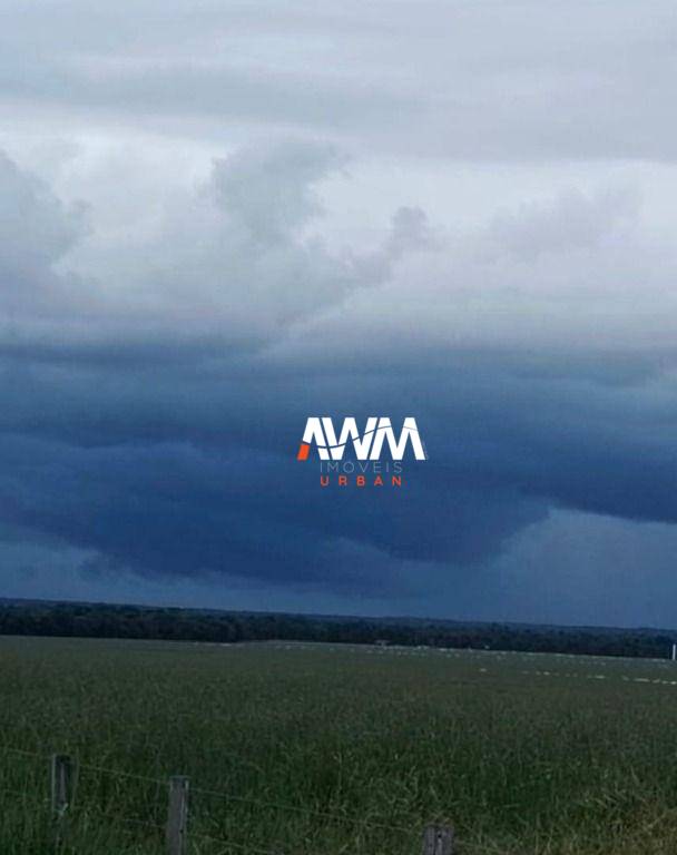 Fazenda, 1239 hectares - Foto 2