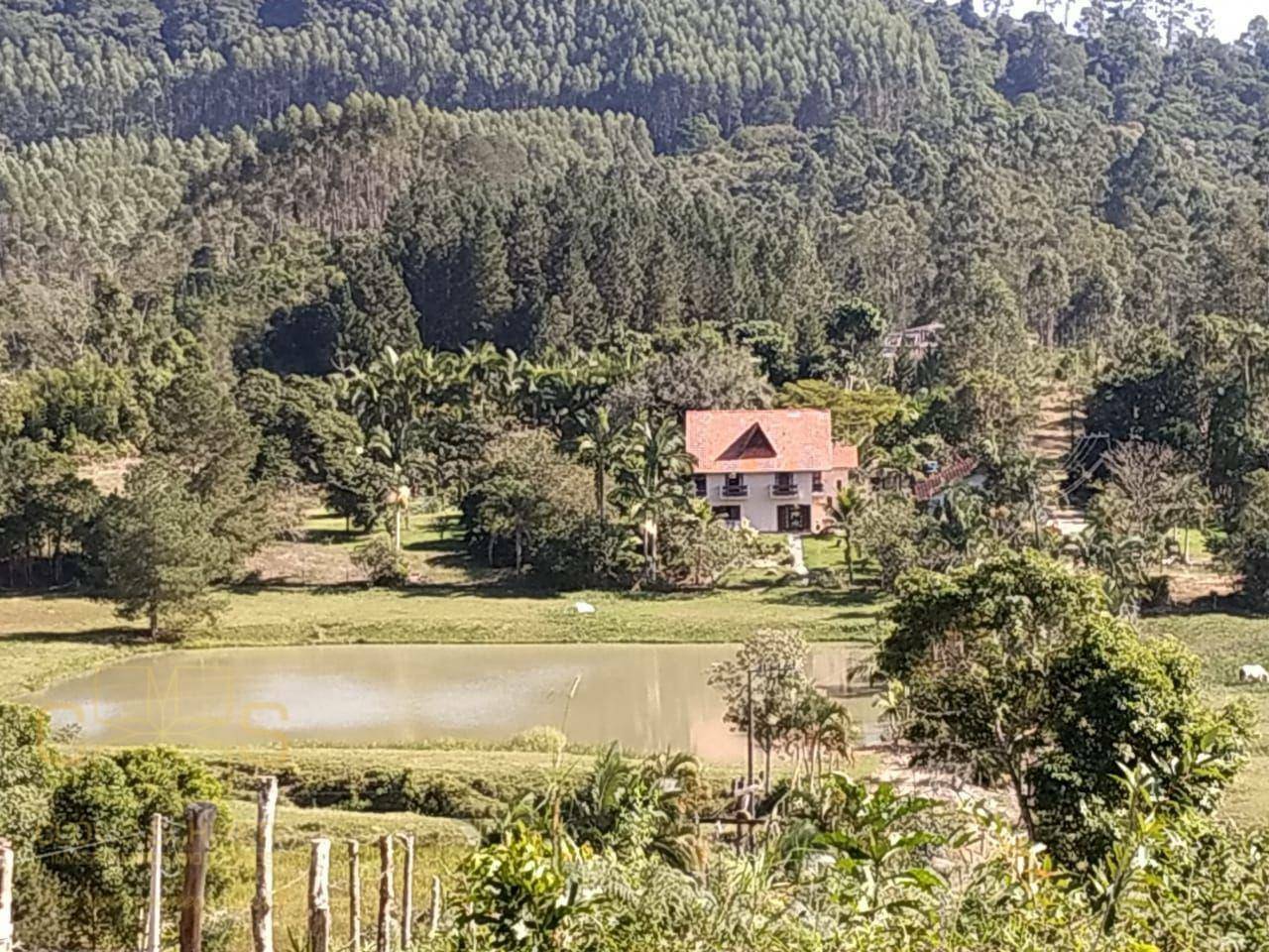 Sítio à venda com 3 quartos, 100000M2 - Foto 1