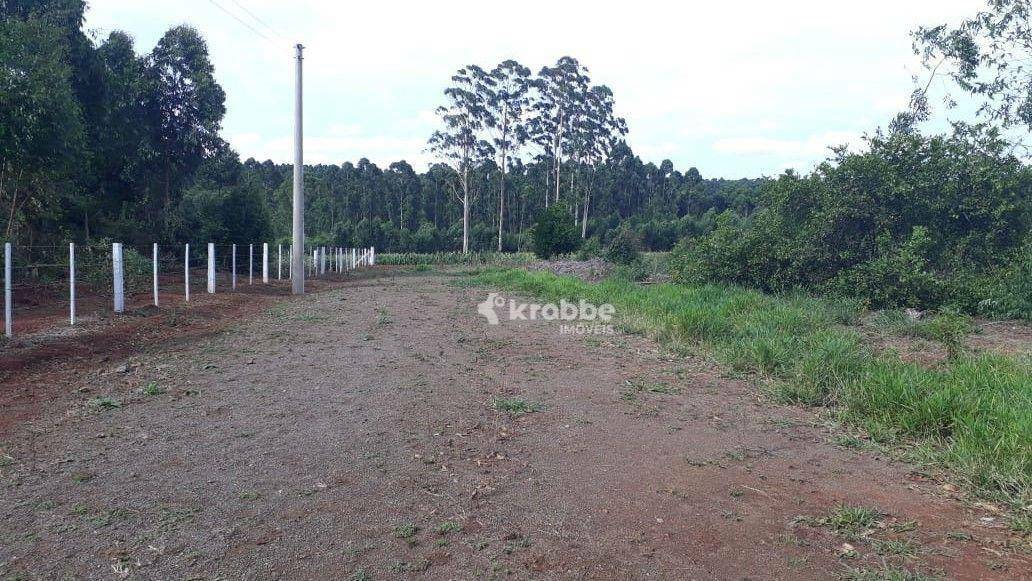 Terreno à venda, 1730M2 - Foto 3