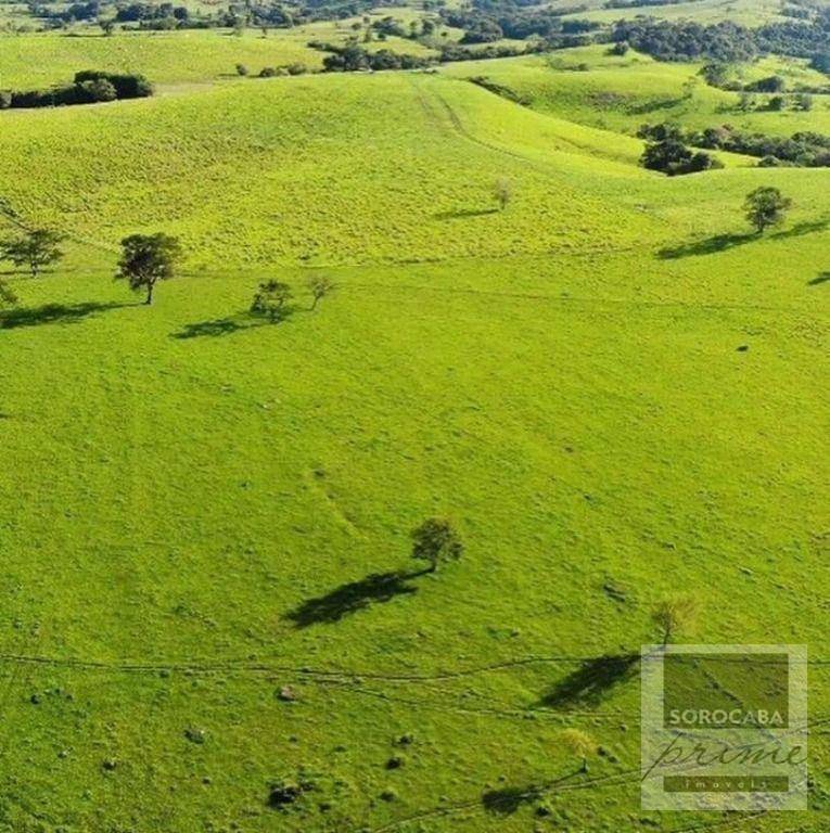 Fazenda à venda, 6050000M2 - Foto 11