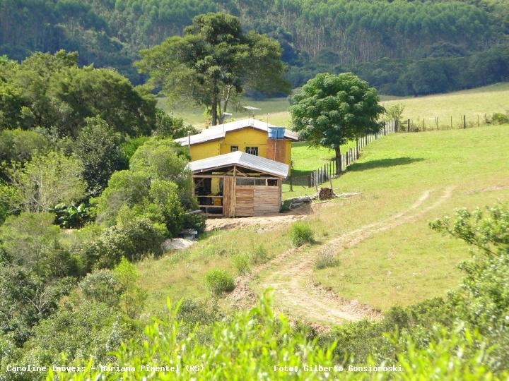 Fazenda à venda com 3 quartos, 160000m² - Foto 16