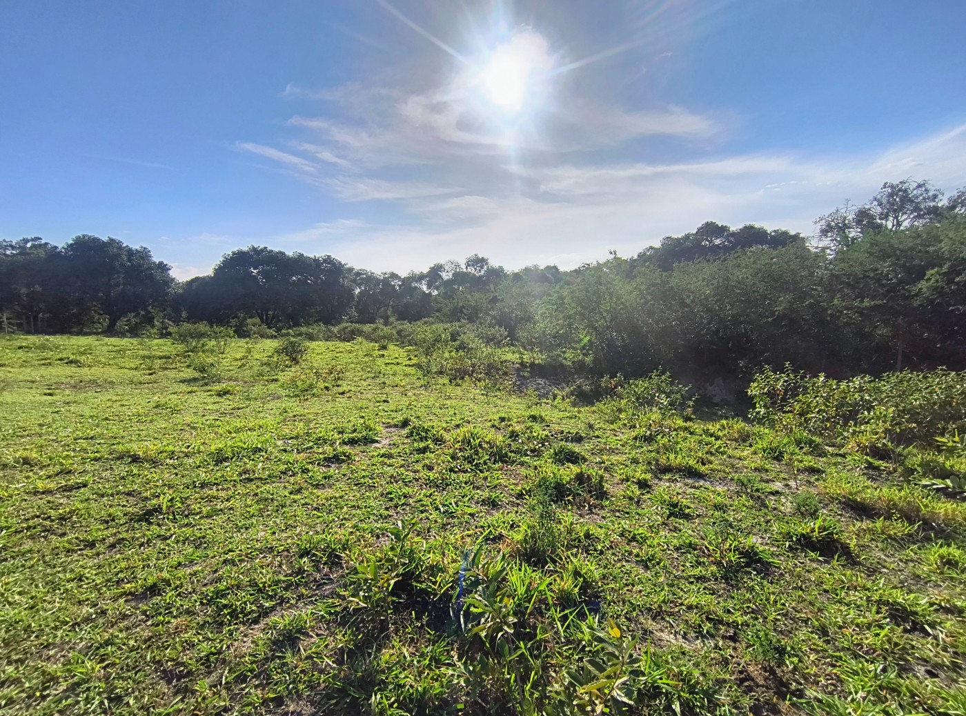 Terreno à venda, 2350m² - Foto 6