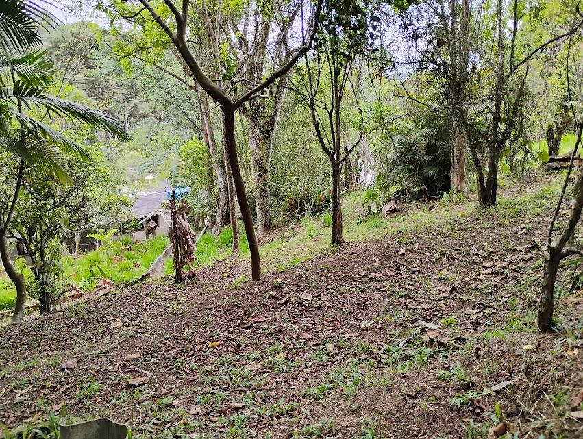 Fazenda à venda com 2 quartos, 2300m² - Foto 24