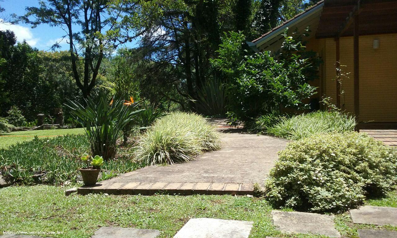 Fazenda à venda com 4 quartos, 15000m² - Foto 43