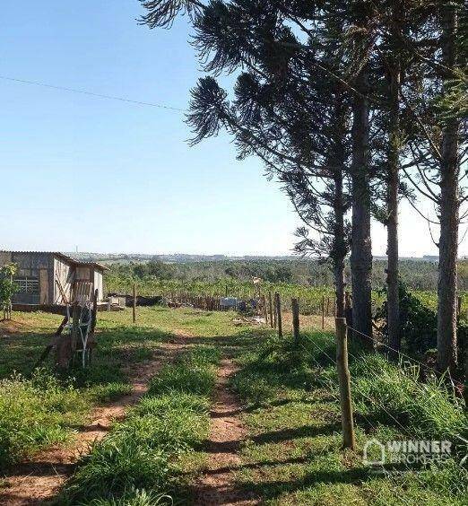 Chácara à venda com 1 quarto, 10000M2 - Foto 1