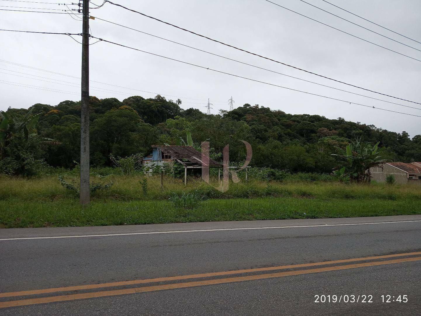 Terreno, 3000 m² - Foto 3