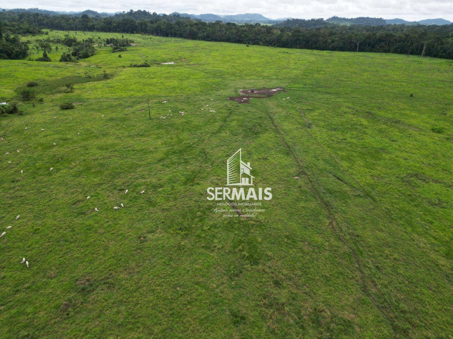 Fazenda à venda, 5445000M2 - Foto 1