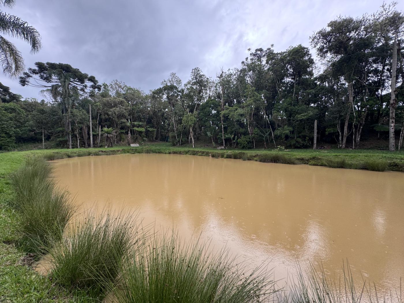 Chácara à venda com 4 quartos, 15000m² - Foto 58