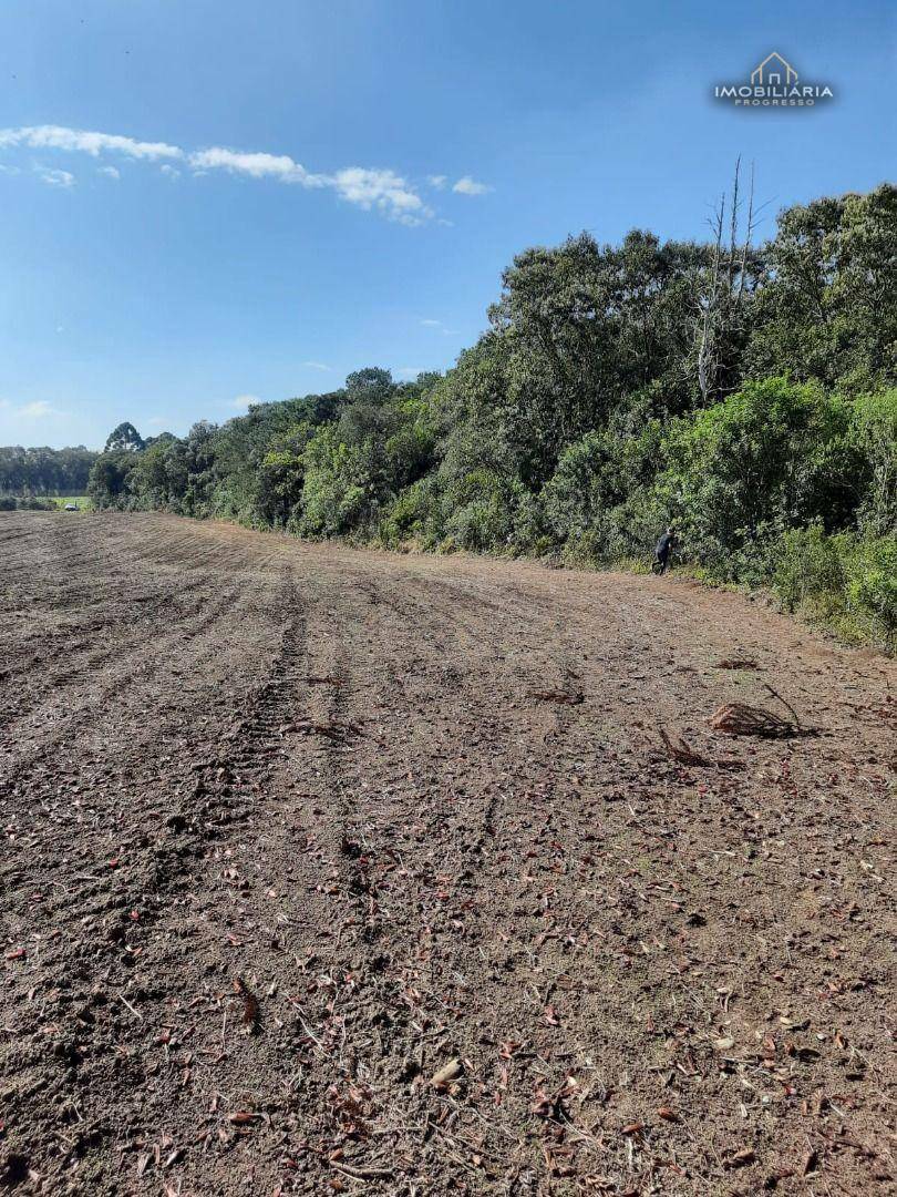 Terreno à venda, 67760M2 - Foto 15