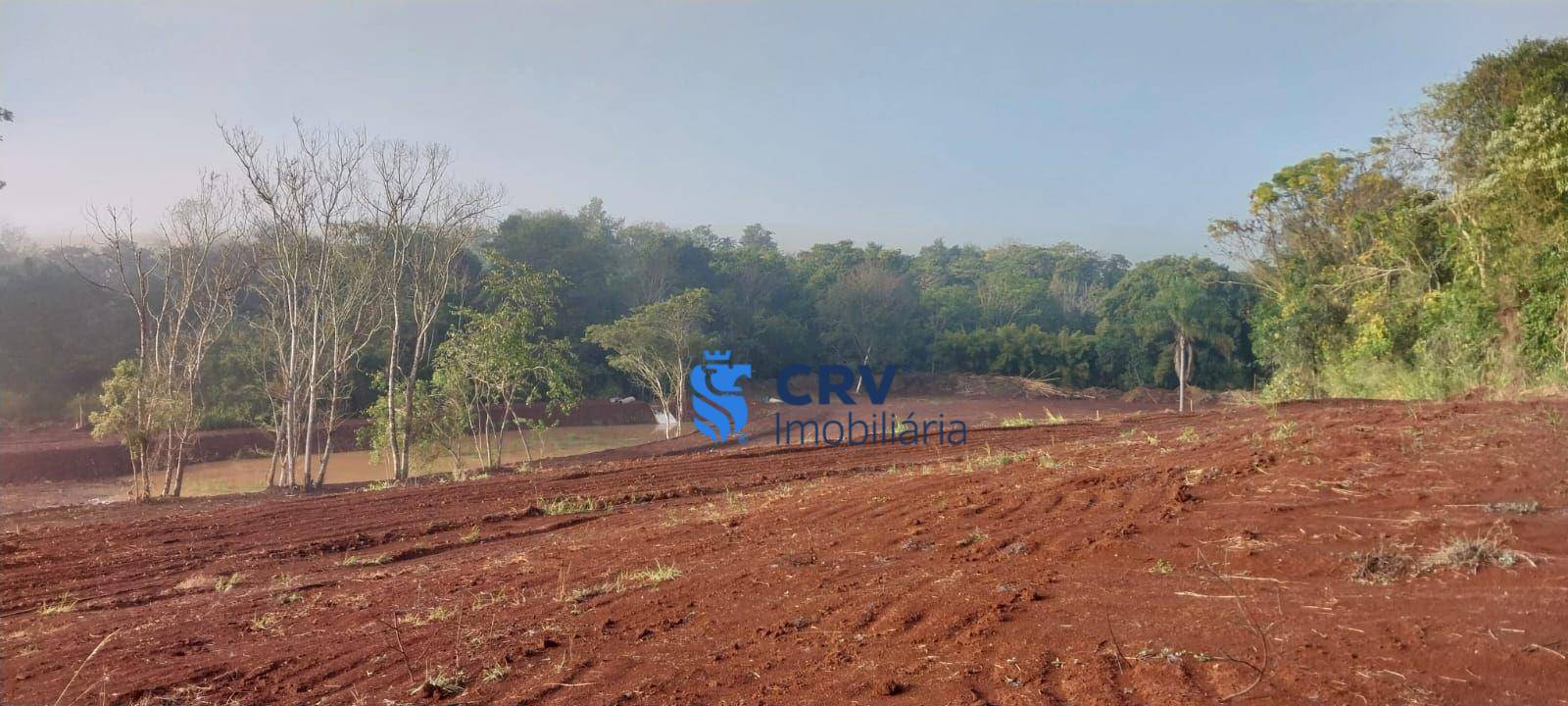 Sítio, 3 hectares - Foto 12