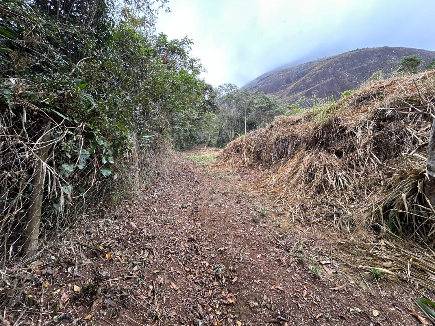 Terreno à venda, 178000m² - Foto 41