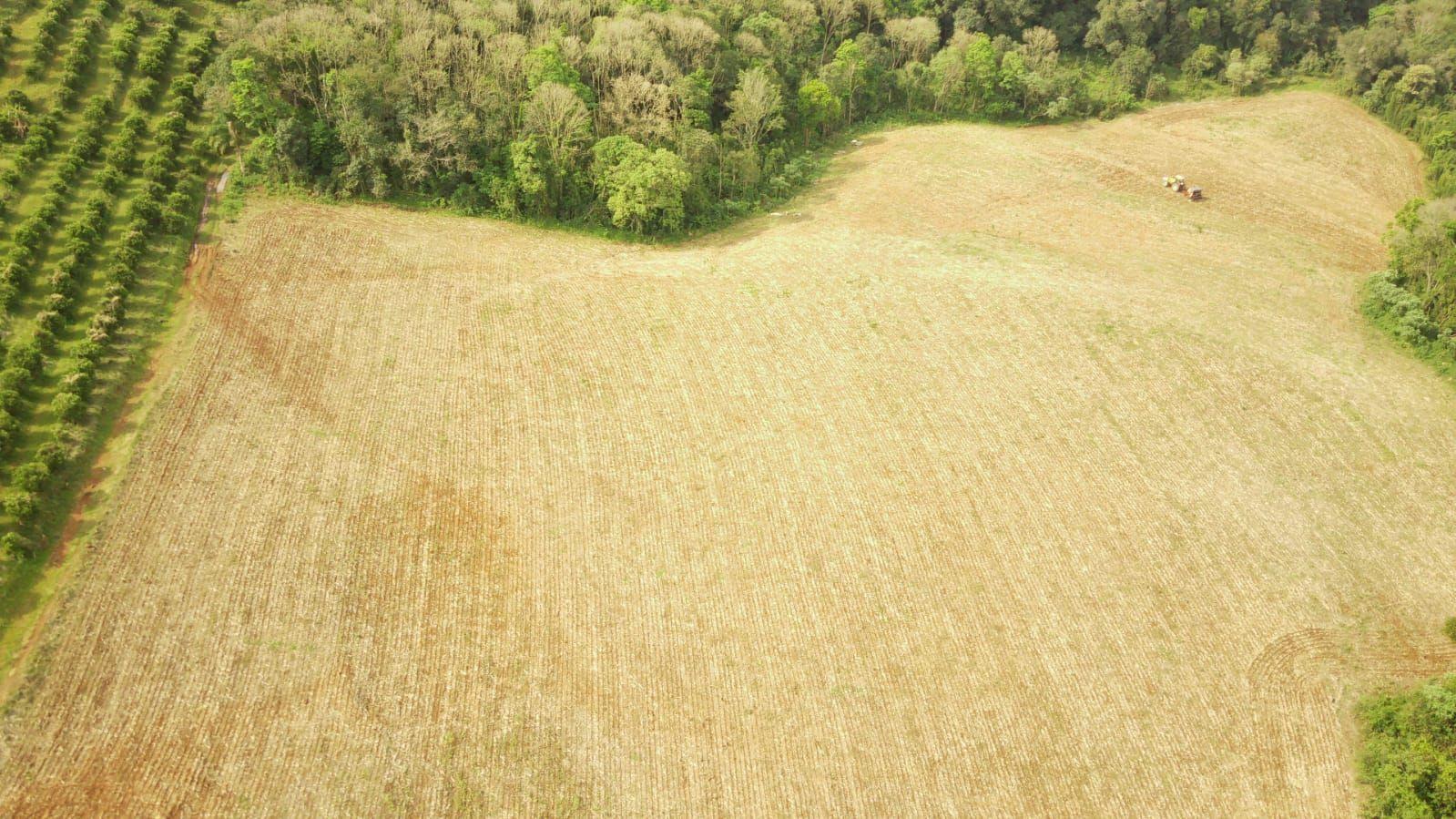 Loteamento e Condomínio à venda, 242000m² - Foto 9