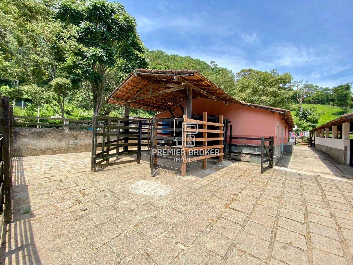 Fazenda à venda com 5 quartos, 300m² - Foto 53