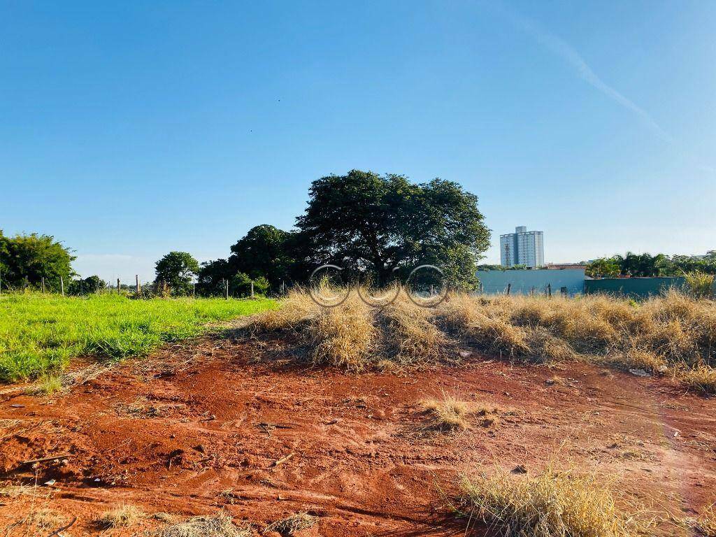 Terreno à venda, 254M2 - Foto 1