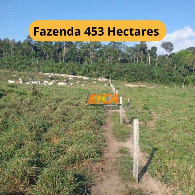 Fazenda-Sítio-Chácara, 453 hectares - Foto 1