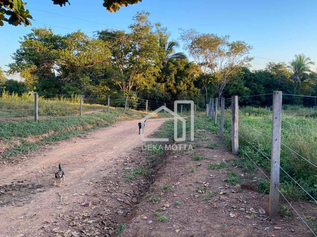 Fazenda à venda com 3 quartos, 21217700000M2 - Foto 14