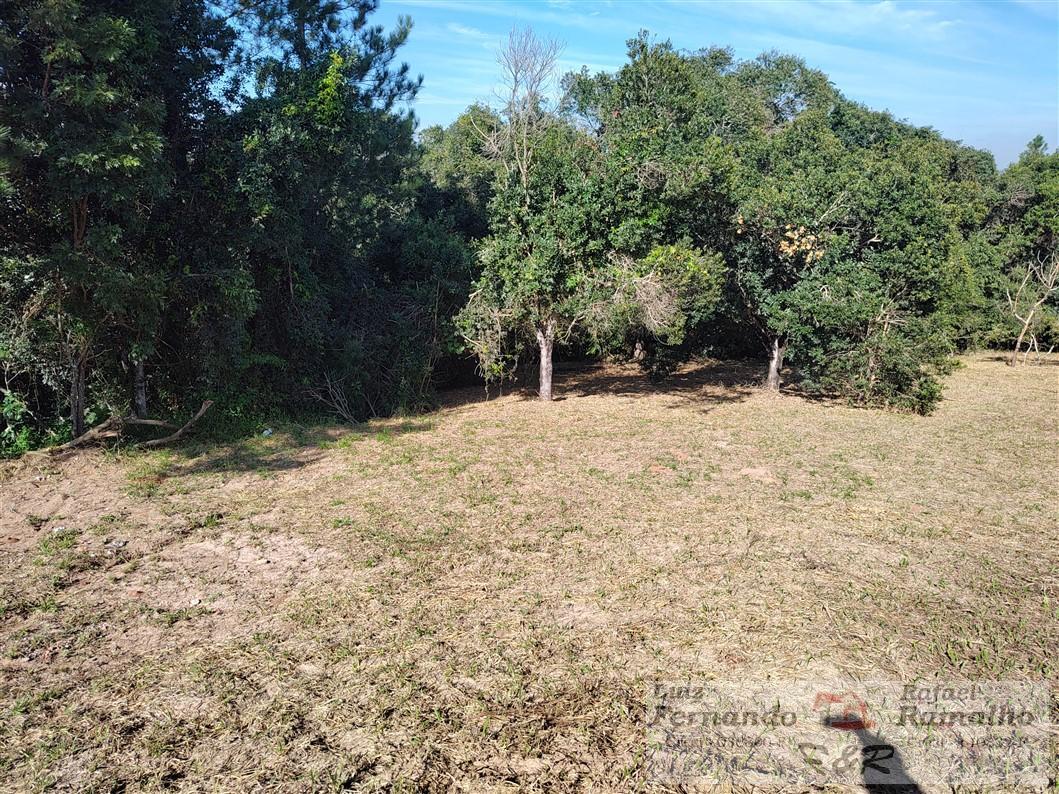 Fazenda à venda com 2 quartos, 16000m² - Foto 35