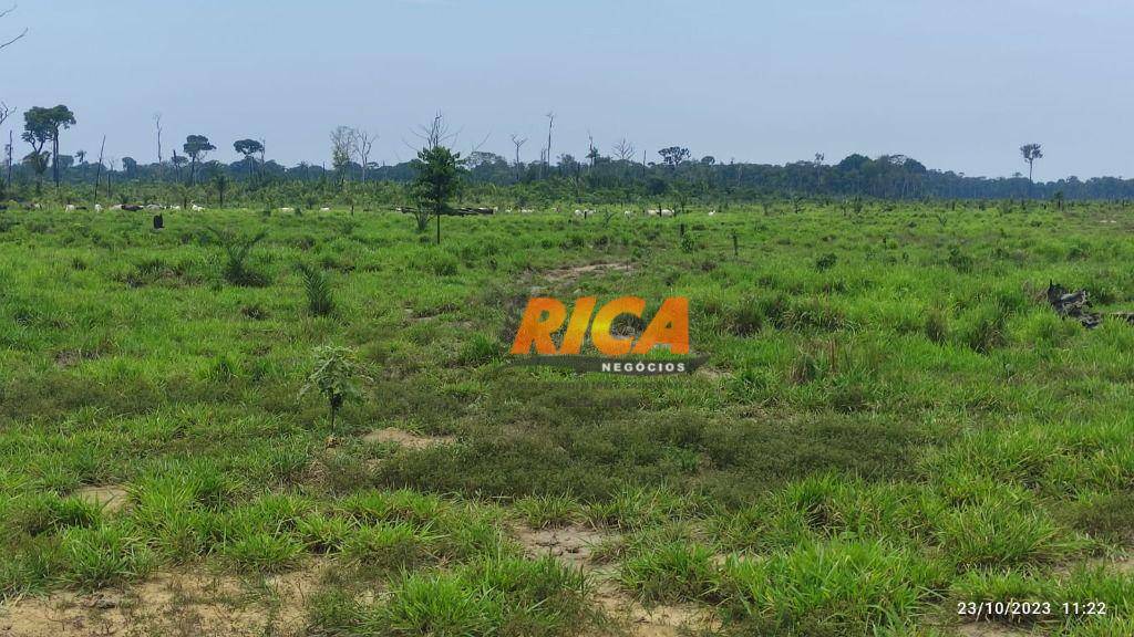 Fazenda à venda, 2280000M2 - Foto 6