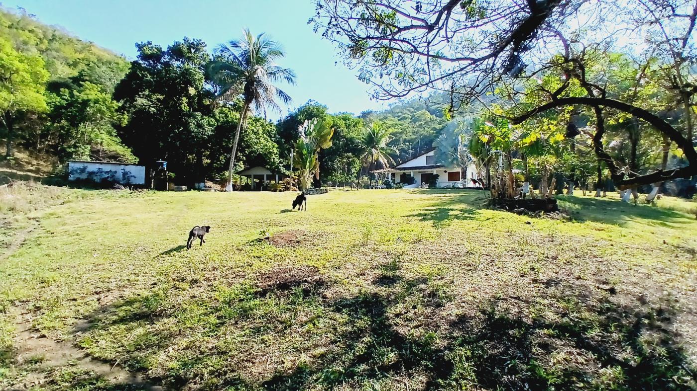 Fazenda à venda com 3 quartos, 100000m² - Foto 23