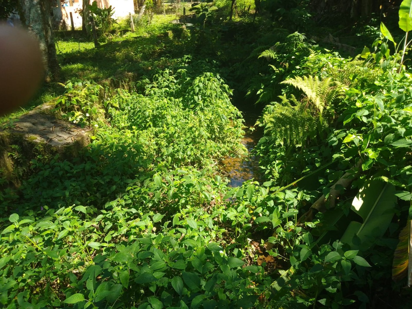 Terreno à venda, 600m² - Foto 3