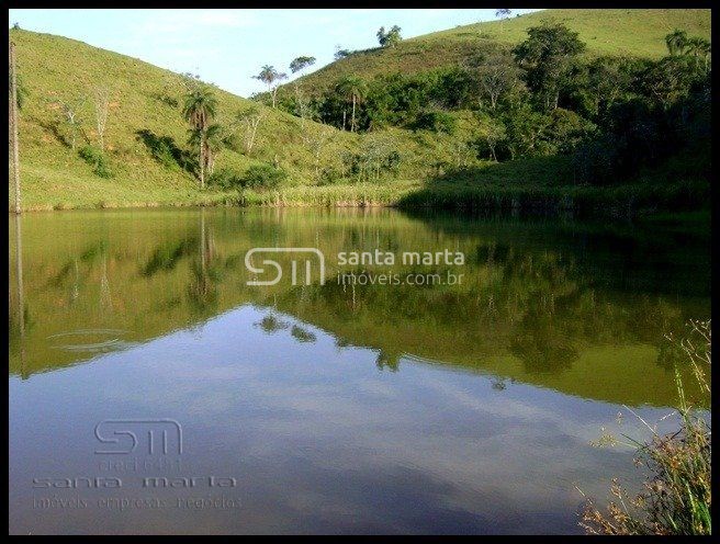 Fazenda à venda com 10 quartos, 5000m² - Foto 3