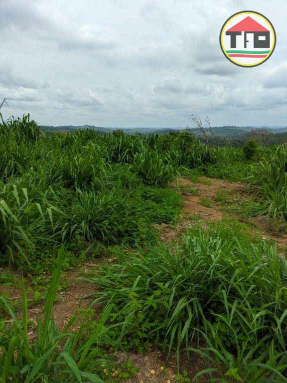 Fazenda à venda, 5324000M2 - Foto 6