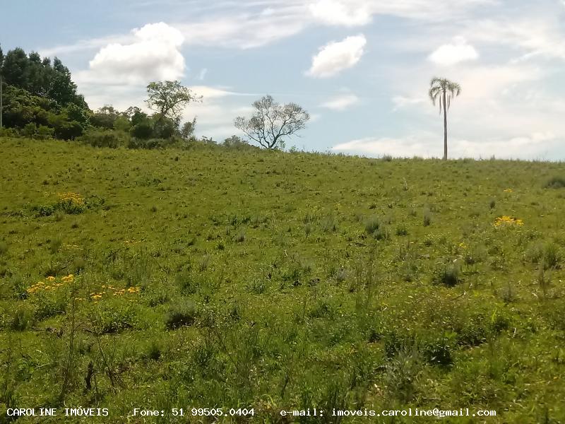 Loteamento e Condomínio à venda, 90000m² - Foto 23