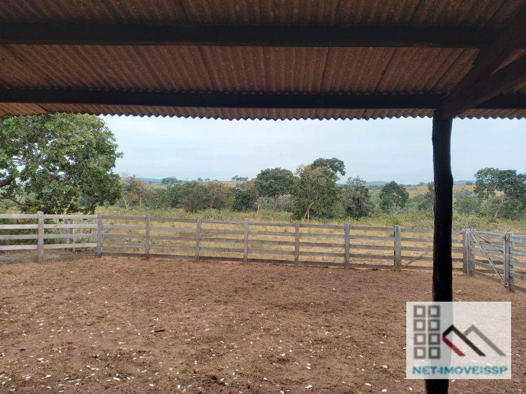 Fazenda-Sítio-Chácara, 1013 hectares - Foto 3