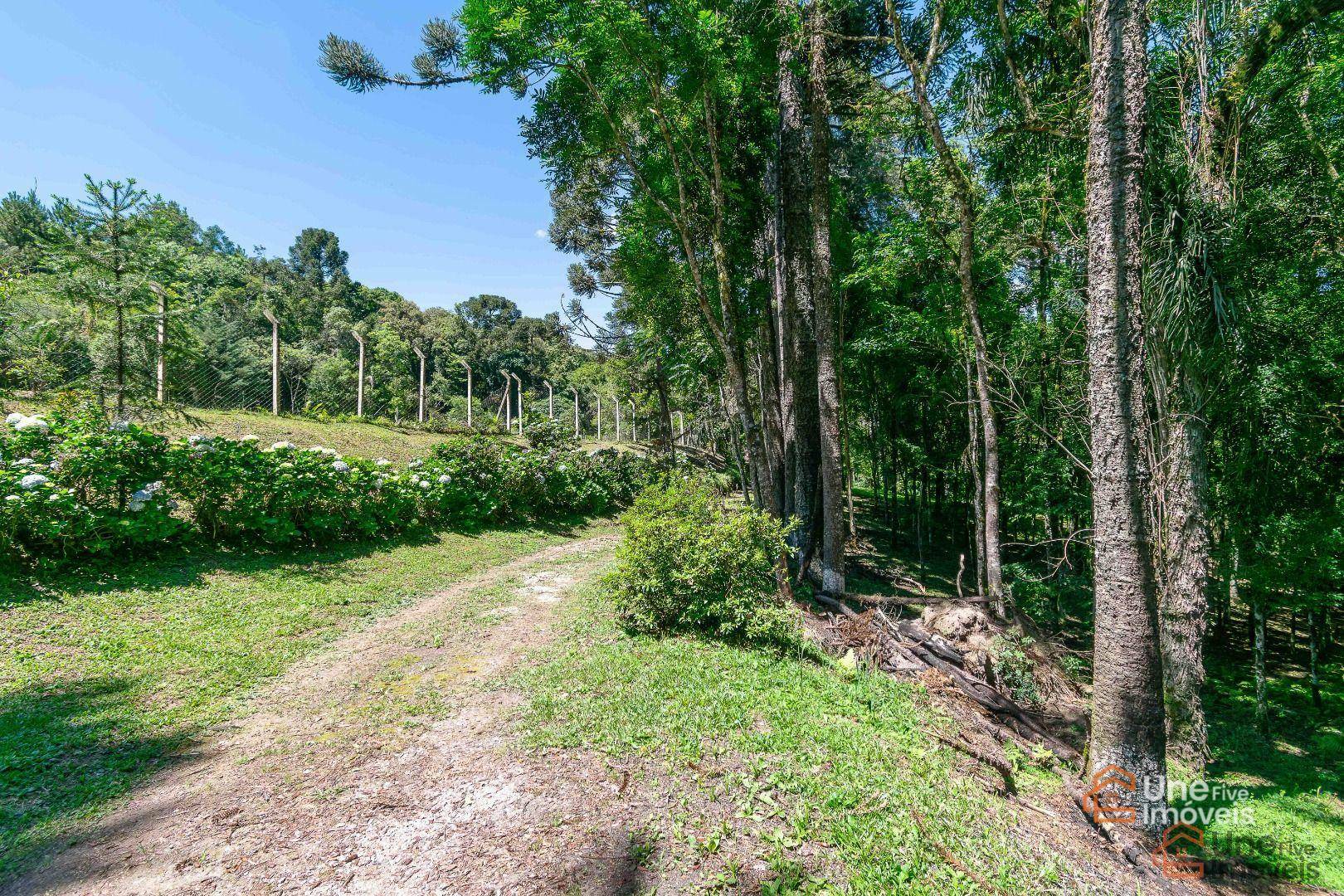 Chácara, 3 quartos, 2 hectares - Foto 5