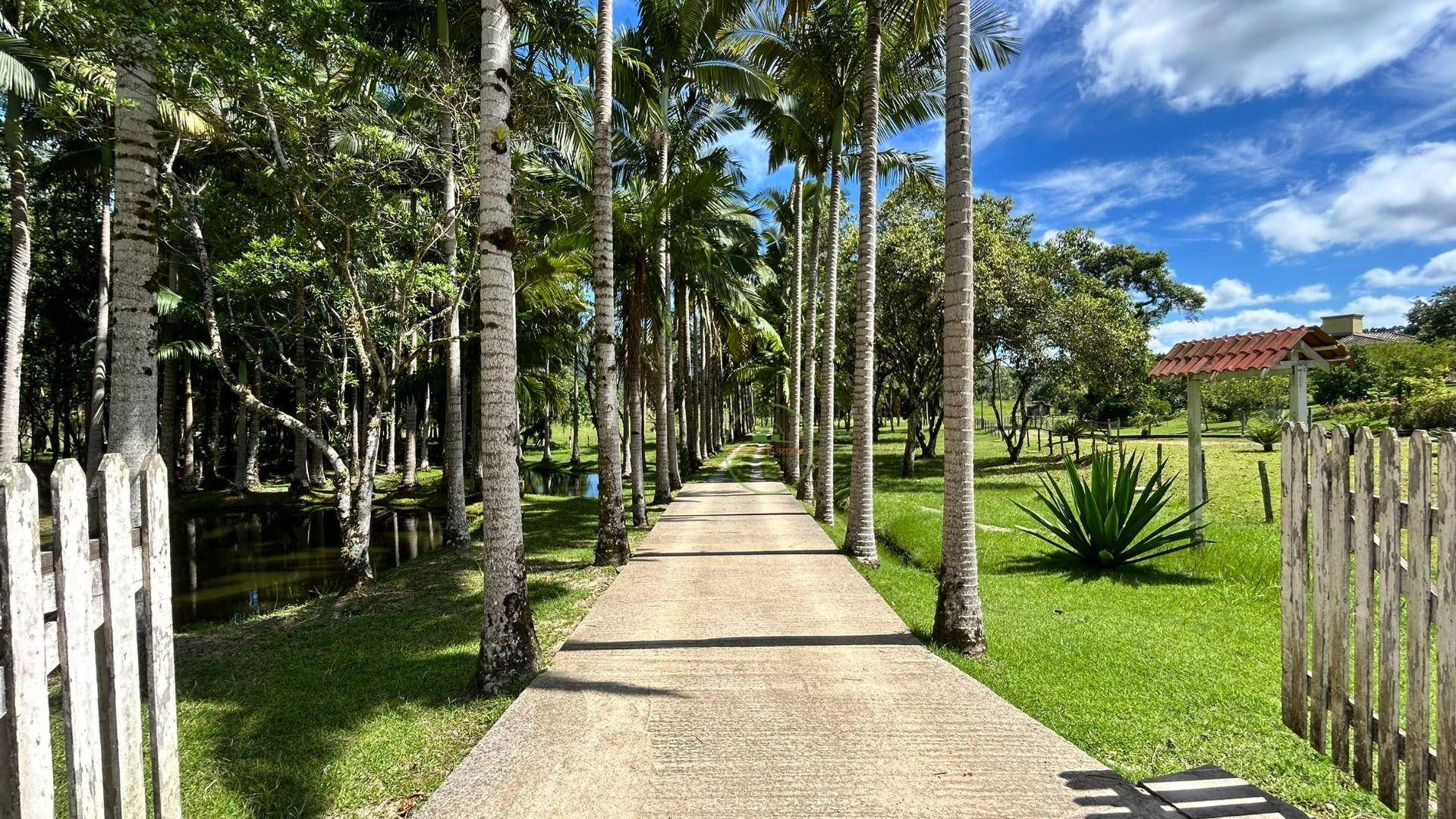 Chácara, 2 hectares - Foto 88